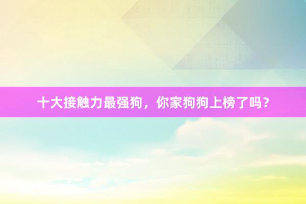 十大接触力最强狗,你家狗狗上榜了吗?
